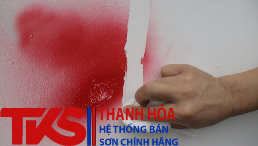 Rửa sạch và dễ lau chùi