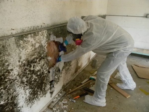 Cách chống thấm tường ngoài hiệu quả nhất cho mọi nhà