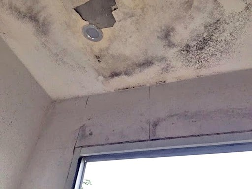 Tác hại của việc thấm dột