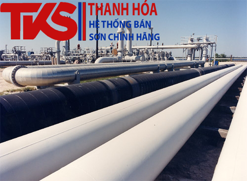 Sơn sắt mạ kẽm có phải là 1 sản phẩm sơn chất lượng