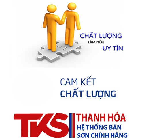 Nhu cầu khách hàng và chất lượng sơn thép mạ kẽm