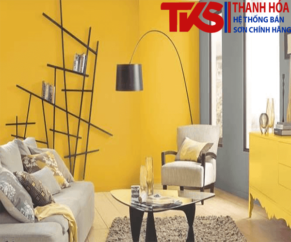 Sử dụng màu sơn trang trí tường nổi bật để tạo điểm nhấn