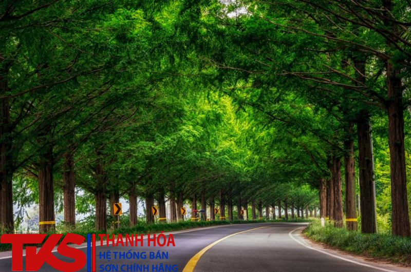 Sơn phản quang chất lượng