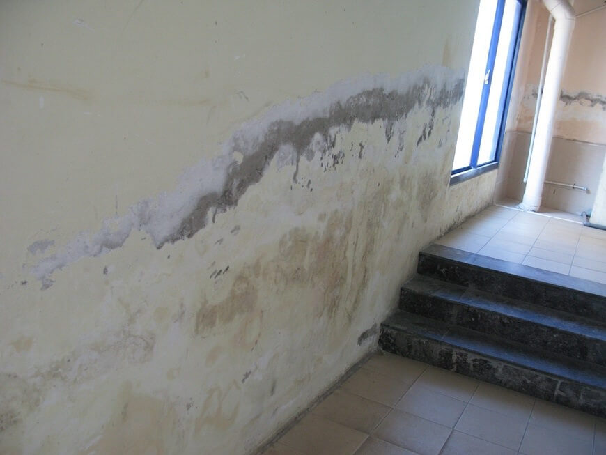 Ẩm mốc trong ngôi nhà