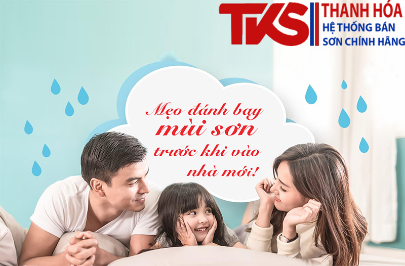 Khử mùi sơn nhà mới